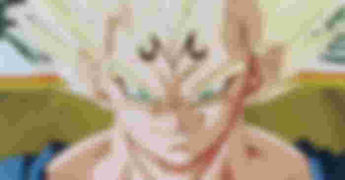Where is Vegeta from Explained in Dragon Ball 1