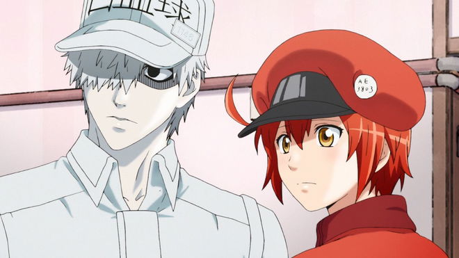 Cells At Work Live-Action Movie in Development at Warner Bros.