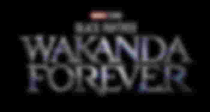 Black Panther 2 poster
