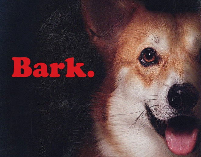 Cowboy Bebop Character Posters Highlight Ein, Vicious, and Julia