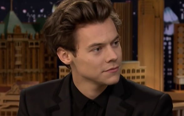 harry-styles-needs-to-warn-the-women-he-dates-about-his-fans-possible-reactions-to-their-relationship-singers-girlfriend-olivia-wilde-doesnt-think-his-fans-are-defined-by-hateful-energy