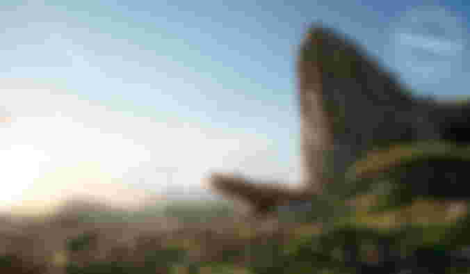 Image from Amazing New Images for Jon Favreau's The Lion King