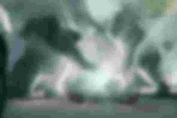 monsters in Hellbound