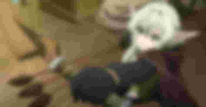 Where to Read the Goblin Slayer Light Novel Online