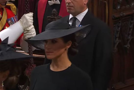 queen-elizabeths-death-reportedly-reignited-comparisons-between-meghan-markle-princess-diana-criticisms-of-queen-consort-camilla-dubbed-cowmilla