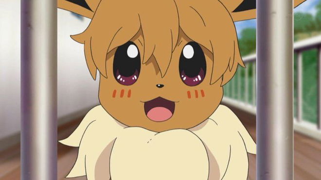 Pokemon Anime Introduces Ash's Future Eevee and it's SOOO Cute