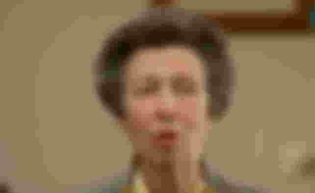princess-anne-shock-prince-charles-sister-disliked-princess-diana-princess-royal-blamed-william-harrys-mom-following-her-controversial-tell-all