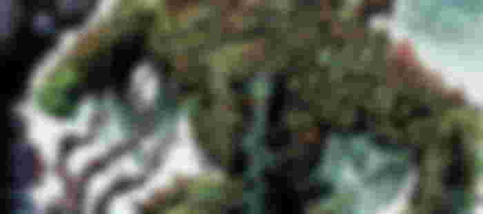 DC's Swamp Thing Star Hopes to Get Invited Back for the Reboot