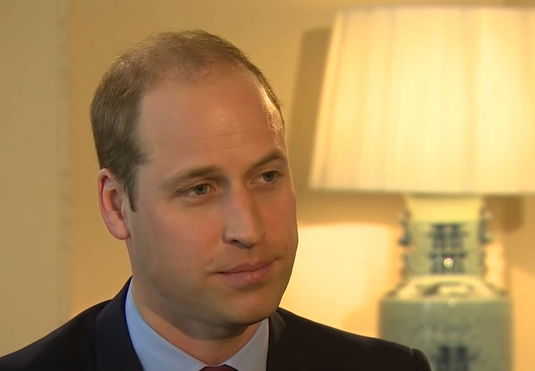 prince-william-hoped-prince-harry-meghan-markle-could-play-an-active-role-in-modernizing-the-monarchy-princes-of-wales-reportedly-forced-to-strat-from-scratch-after-megxit
