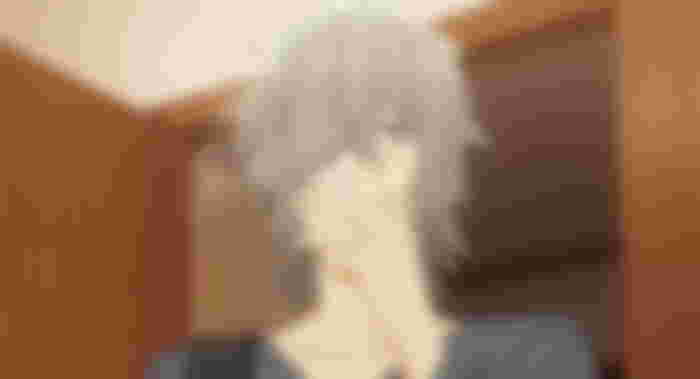 Kyosuke Hori: The Mysterious and Peculiar Father of Kyoko Hori