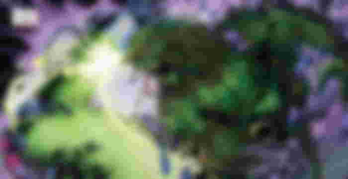 Swamp Thing's strength