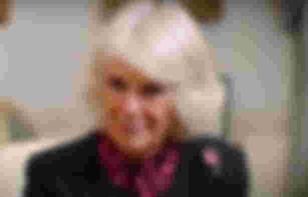 queen-consort-camilla-surprised-meghan-markle-with-a-nice-gesture-to-get-to-know-her-better-king-charles-iiis-wifes-efforts-reportedly-had-no-impact-on-duchess-of-sussex