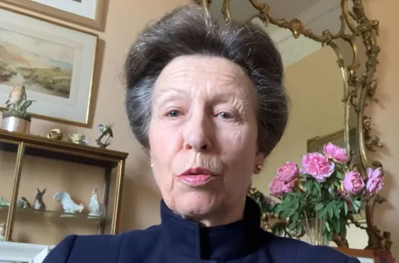 princess-anne-shock-queen-elizabeths-only-daughter-reportedly-gave-meghan-markle-a-savage-advice-that-left-duchess-dumbfounded-royal-expert-claims