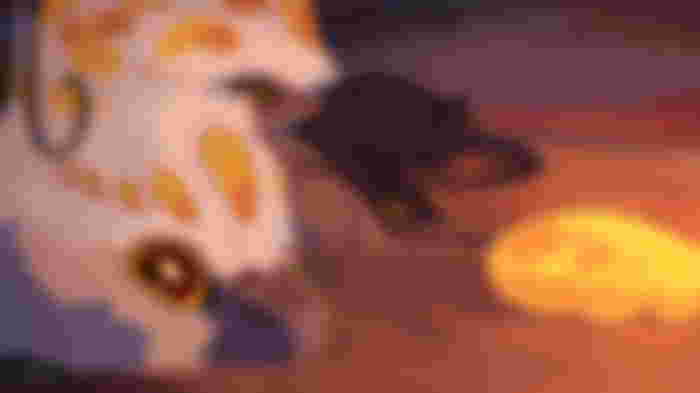 Creatures of Sonaria three lizards lying down next to each other