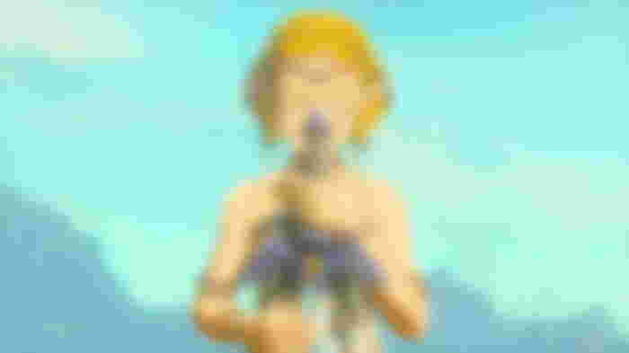 Zelda Notes Switch 2