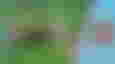Screenshot of LEGO Animal Crossing collaboration