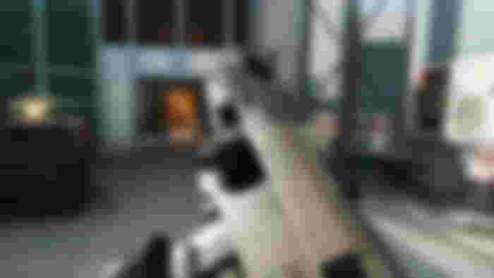 Image showing Warzone player holding BP50 assault rifle