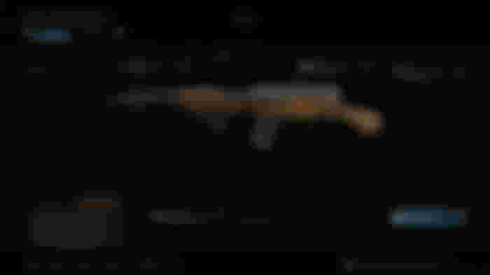 Modern Warfare SKS best class