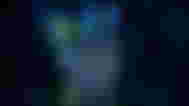 Image of a portal within the castle shrouded in green in V Rising.