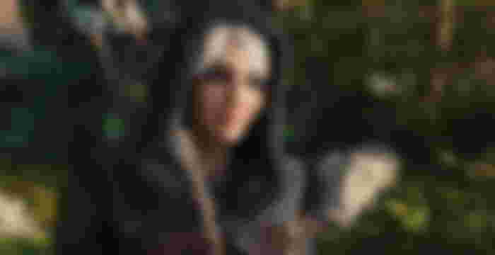 Witcher 4
