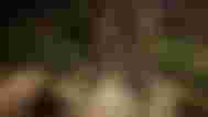 The character cuts down a tree somewhere in the forest in Sons of the Forest.