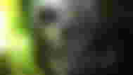 call of duty and fallout soldiers side by side half faces