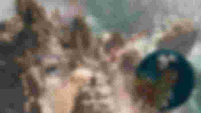 Clair Obscur: Expedition 33 Stone Wave Cliffs