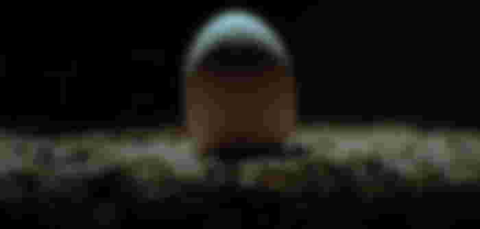 The egg, containing Xenomorph, of Alien from 1979.