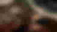 The character is about to kill the turtle in Sons of the Forest.