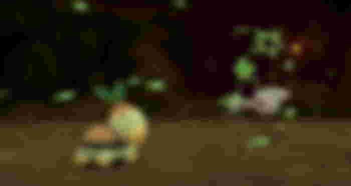 A Turtwig is battling a Geodude in Pokémon Brilliant Diamond and Shining Pearl.