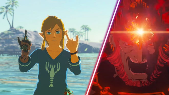 Link flipping the bird in Zelda Tears of the Kingdom.