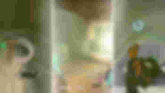 Image from Zelda Tears of the Kingdom Lightning Temple guide - All battery locations