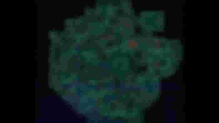 Personal-1 (PER-1)