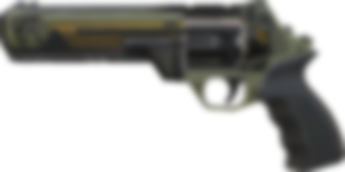 Image from Valorant: All Weapon Skins And Bundles In Riot's New FPS