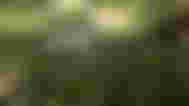 Screenshot of sword katana in Sons of the Forest