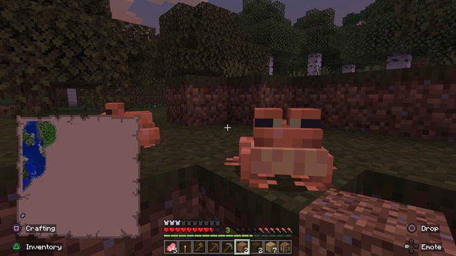 A frog in Minecraft.