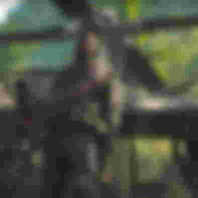 Black Ops Cold War Wolf Operator