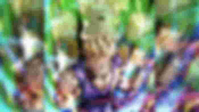 Knowing how to perform a Dragon Ball Legends reroll can get characters high on the Dragon Ball Legends tier list.