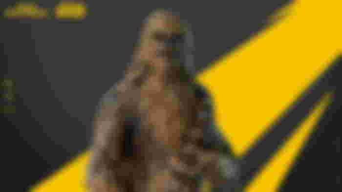 Chewbacca in Fortnite