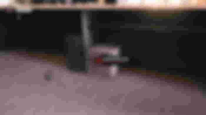 A screenshot of the Serling Reception safe in Dead Island 2.
