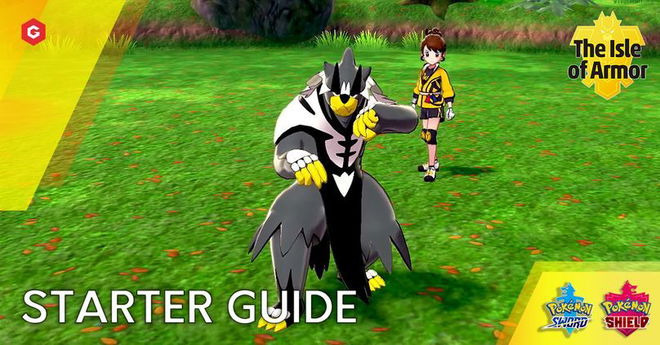 Isle of Armor Starter Guide: Tips and Tricks Before The First Pokemon Sword And Shield DLC
