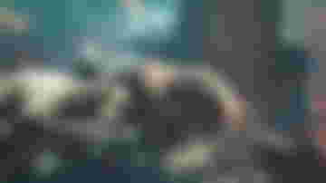 Title Update 2