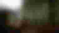 Two characters are building a house in Sons of the Forest.