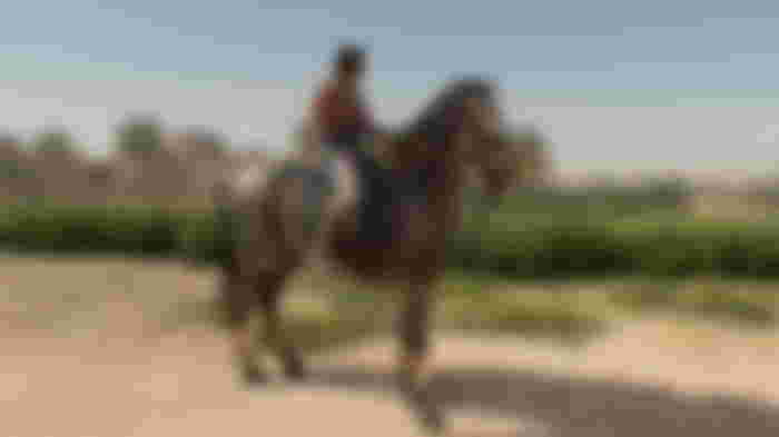 The player is riding the Sand Horse.