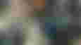 A Warzone animation playing out behind an unsuspecting soldier 