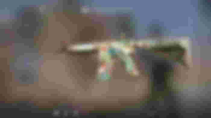 a cs go screenshot of a m4a4 eye of horus .