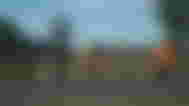SCUM 1.0 players