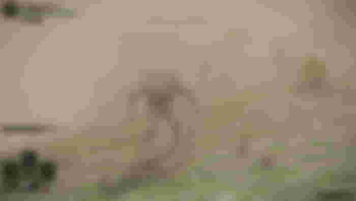 A player faces a troll in Stormhill in Elden Ring.