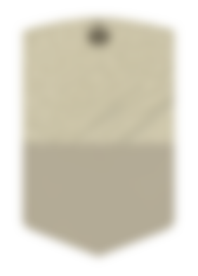 Image from FIFA 20 Icon Swaps Set 3 COUNTDOWN LIVE: Players, Rewards, Objectives, Advice And More