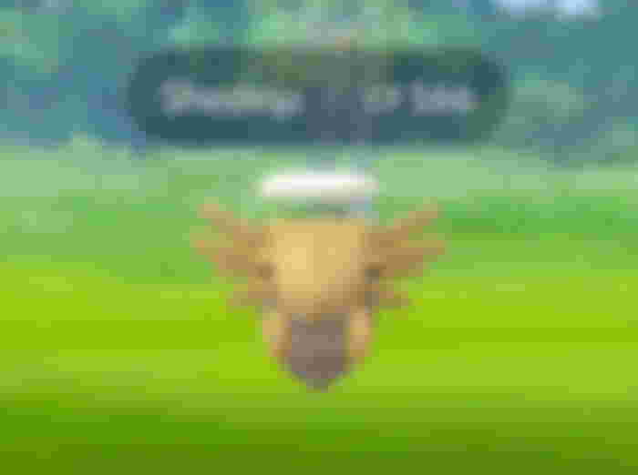 Image from Pokemon Go October Field Research Tasks, Rewards, Breakthrough And Victini News